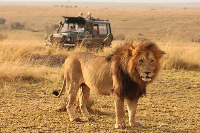 6 Days lodge &camping tour Serengeti ,Tarangire ,Ngorongoro Crater and Manyara - Key Points