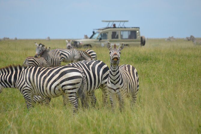 6 Days lodge &camping tour Serengeti ,Tarangire ,Ngorongoro Crater and Manyara - FAQs