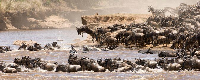 6 Days Luxury Migration Safari-Northern Tanzania - Key Points