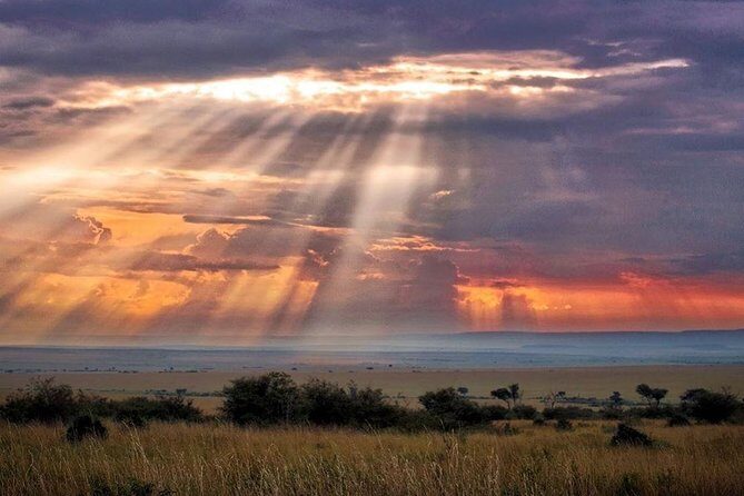 6 Days Maasai Mara/Nakuru/Amboseli Group Safari - An In-Depth Look at What This Tour Offers