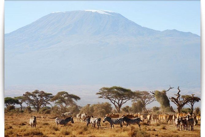 6 days Machame route From Arusha / Kilimanjaro - Who Should Consider This Tour?