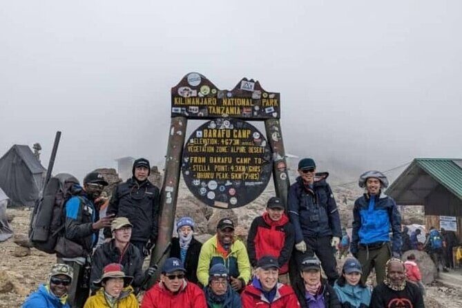 6 Days Machame Route Kilimanjaro Climbing Trekking Tour - Day-by-Day Breakdown: What to Expect