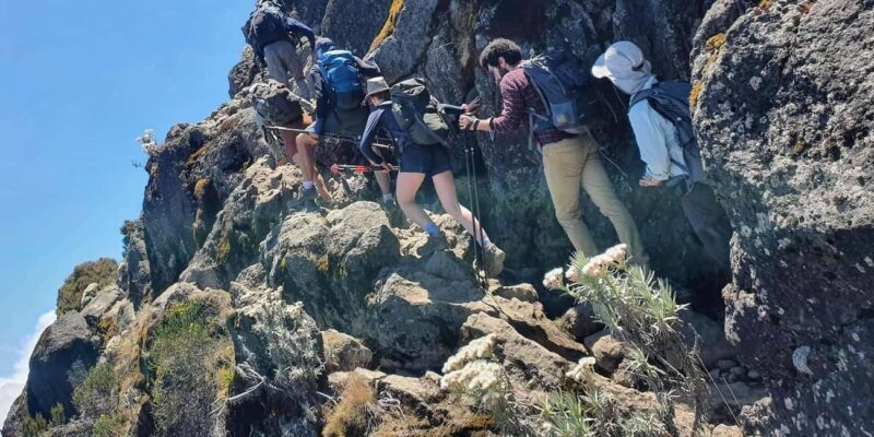 6 Days Marangu Route - Affordable Mount Kilimanjaro Climbing - What’s Included and What to Consider