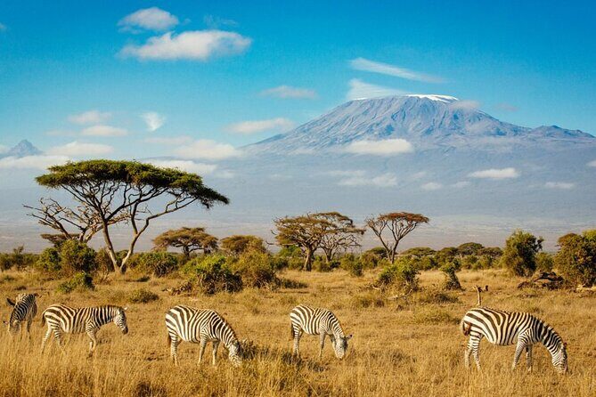 6 Days Masai Mara, Lake Nakuru and Amboseli Budget Group Safari - FAQs