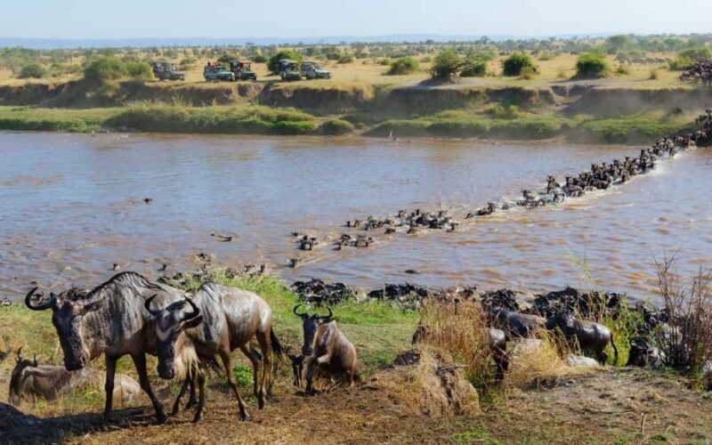 6 Days Masai Mara Photographic Wildlife Safari on a 4x4 Jeep - Frequently Asked Questions