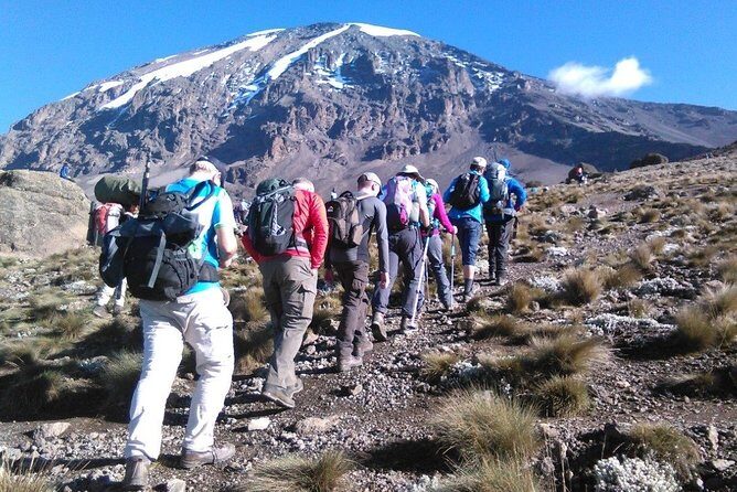 6 Days Mount Kilimanjaro Machame Route Climb - An Overview of the Kilimanjaro Machame Route Experience