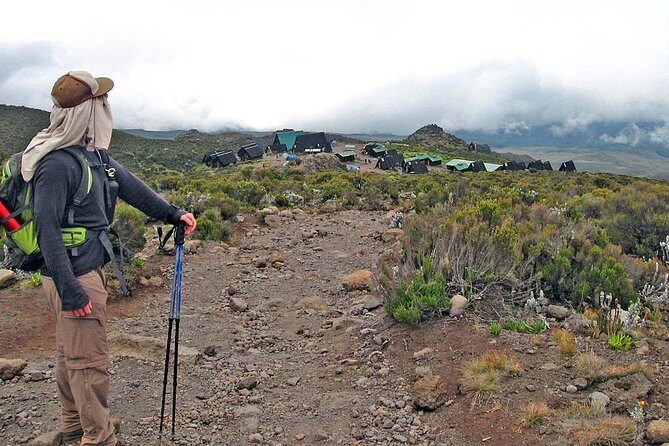 6 Days Mount Kilimanjaro Trek Marangu Route - The Itinerary Breakdown: Day by Day