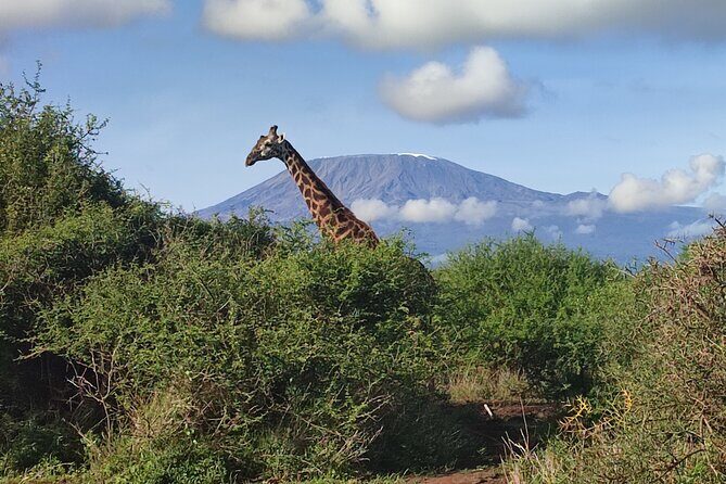 6-Days of Elephants, Wildebeest and Big 5: Kenyas Classic Safari - Final Thoughts: Who Is This Tour Best For?