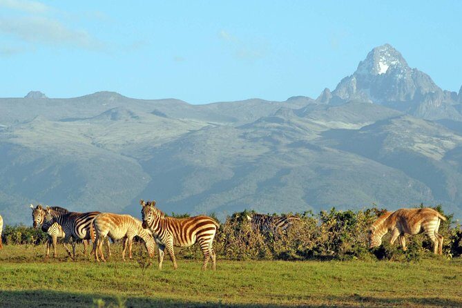 6 Days of Kenyan Wonders: Amboseli, Lake Nakuru, and Masai Mara - Practical Details and Tips