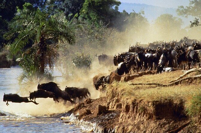 6 Days of Kenyan Wonders: Amboseli, Lake Nakuru, and Masai Mara - FAQ