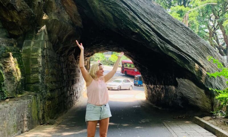 6 Days of Sri Lanka with all inclusive Wellness escapes - Final Thoughts