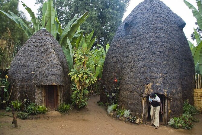 6 days Omo valley cultural Tour - Day 3: Mursi & Turmi
