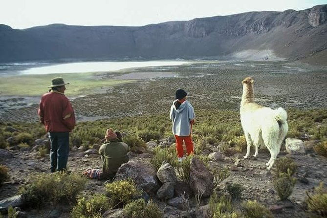 6-days-private-best-of-bolivia-tour-from-la-paz-with-flights-vip