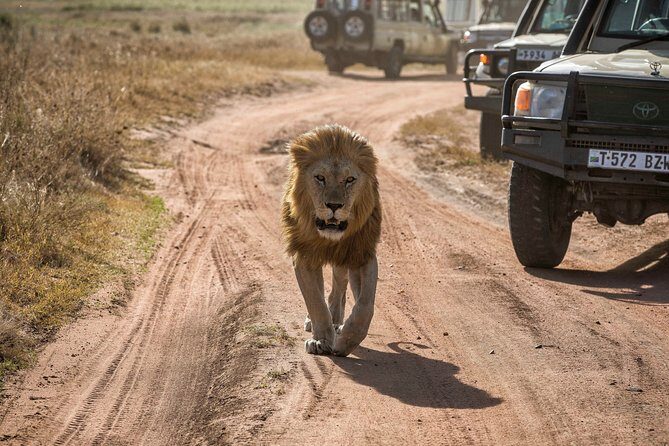 6 Days Private Budget Safari - Overview of the Experience