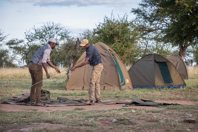 6 Days Private Budget Safari - What Makes This Safari Stand Out?