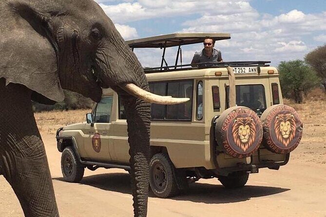 6 Days Private Budget Safari - Who Should Consider This Tour?