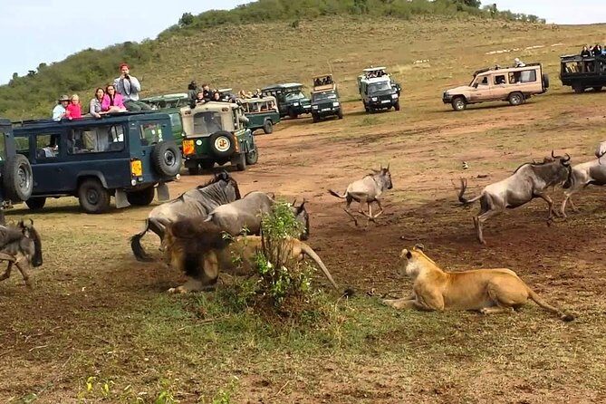 6 Days Private Camping Safari Serengeti, Ngorongoro, Lake Manyara and Tarangire - Who Should Consider This Tour?