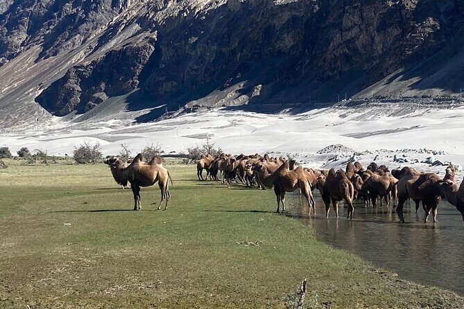6 days Private Guided Tour of Ladakh from Delhi by flight & car - The Details of the 6-Day Ladakh Journey