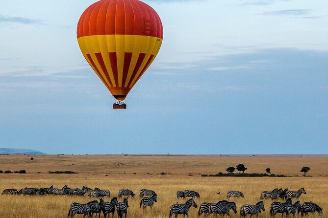 6 Days Private Midrange Tour of Tanzania Safari - Key Points