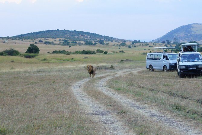 6 Days private safari package Kenya - Key Points