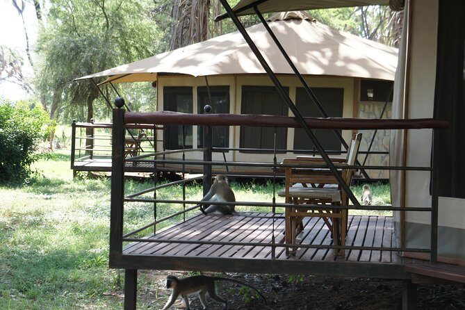 6 Days private safari package Kenya - Who Should Consider This Safari?