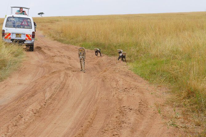 6 Days private safari package Kenya - FAQ