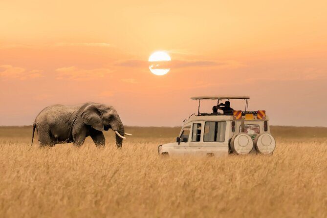 6 Days Private Tanzania Midrange Safari Adventure - Key Points