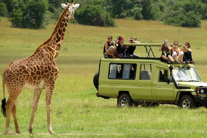 6 Days Private Tanzania Midrange Safari Adventure - Price & What It Offers