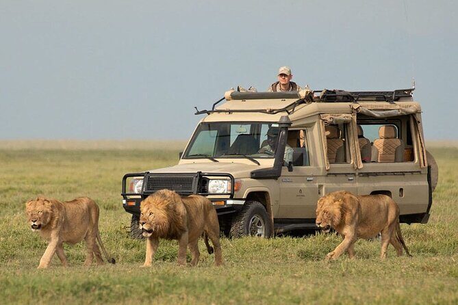 6 Days Private Tanzania Midrange Safari Adventure - FAQ