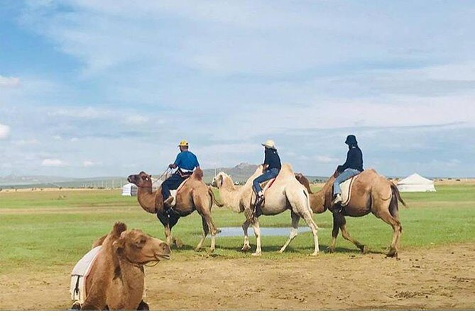 6 Days Private Tour in Gobi Desert - What Travelers Say