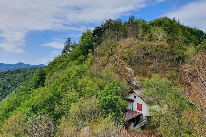 6 Days Private Tour in Romania Spectacular Places from Bucharest - Who Would Love This Tour?