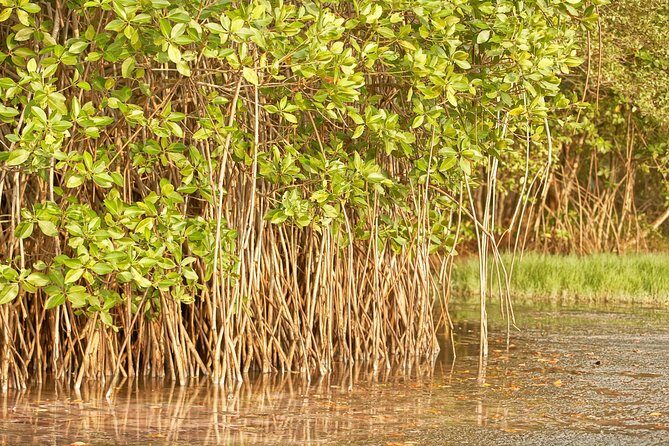 6 Days Private Tour with English Speaking Guide - Explore Sri Lanka - Final Thoughts