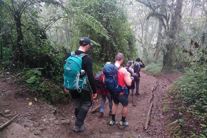 6 Days Rongai route climbing Mt.Kilimanjaro - What Sets This Tour Apart?