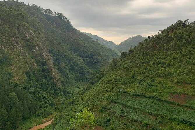 6 Days Rwanda Uganda Budget Wildlife Safari - Final Thoughts: Is This Tour for You?
