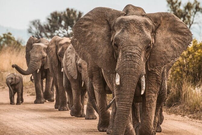 6-days Safari in Northern Tanzania - Final Thoughts
