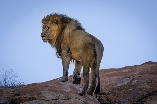6 Days Safari : Manyara, Ngorongoro, Serengeti & Tarangire National Park - Who Is This Tour Best For?