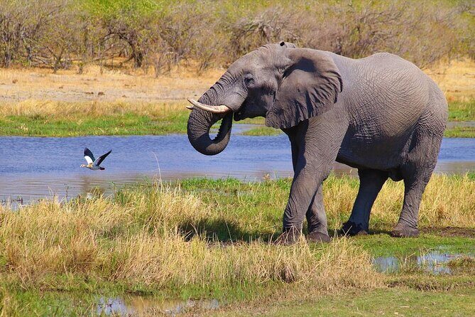 6 Days Safari : Manyara, Ngorongoro, Serengeti & Tarangire National Park - Final Thoughts