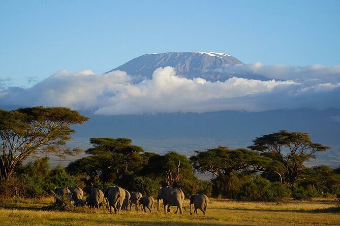 6 Days Safari Tour in Amboseli, Tsavo West and Tsavo East - FAQs