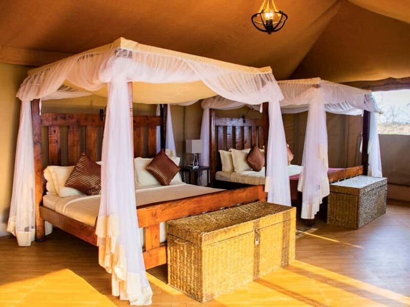 6 Days Serengeti Migration Safari Experience - Key Points