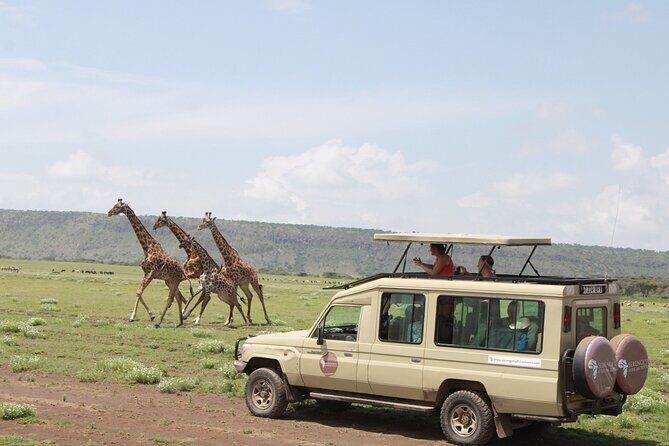 6 Days Serengeti Safari(hiking waterfalls &coffee tour) - What Travelers Say: Authentic Insights from Reviews