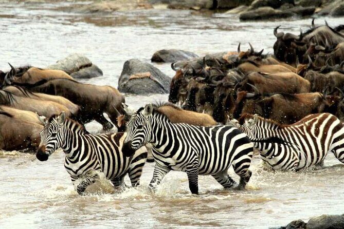 6 Days Serengeti Wildebeest Migration Safari - Final Words
