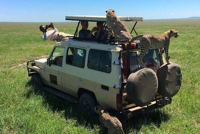 6 Days Tanzania Bush Experience Safari - Final Thoughts