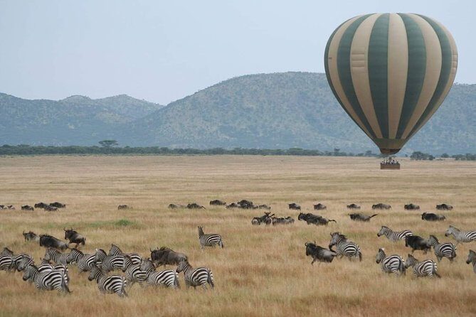 6 Days Tanzania Classic Safari - Key Points
