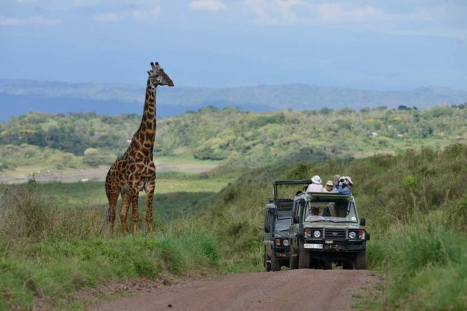 6 Days Tanzania Luxury Safari Tour - The Itinerary in Detail