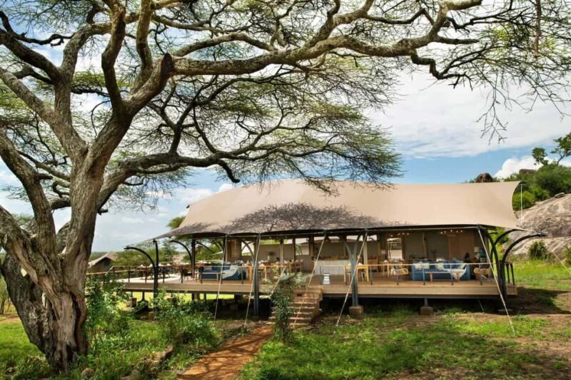 6 days Tanzania Safari & Cultural tour, wildlife wonder - Key Points
