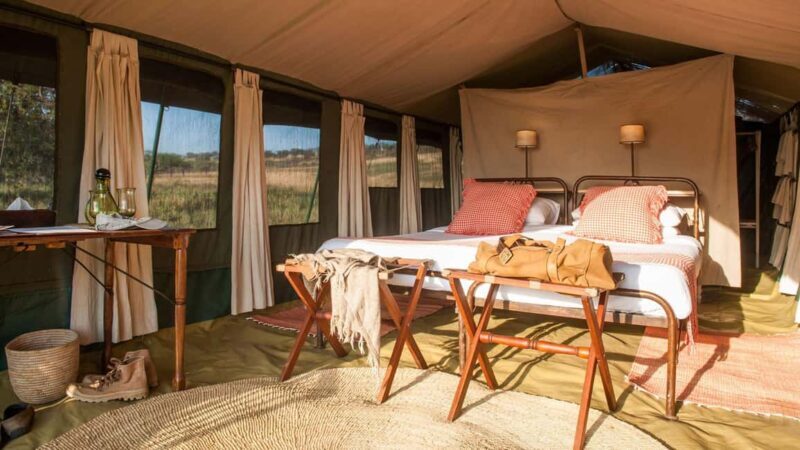 6 days Tanzania Safari & Cultural tour, wildlife wonder - Transportation and Comfort