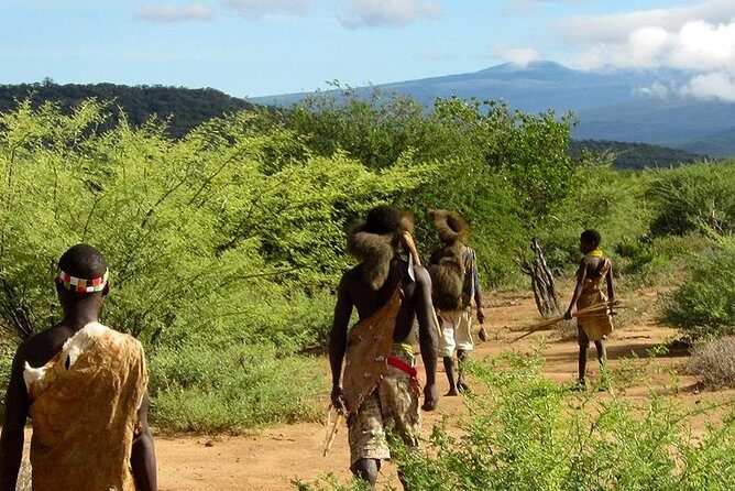 6 Days Tanzania Wildlife And Cultural Tour - What to Expect from the Itinerary