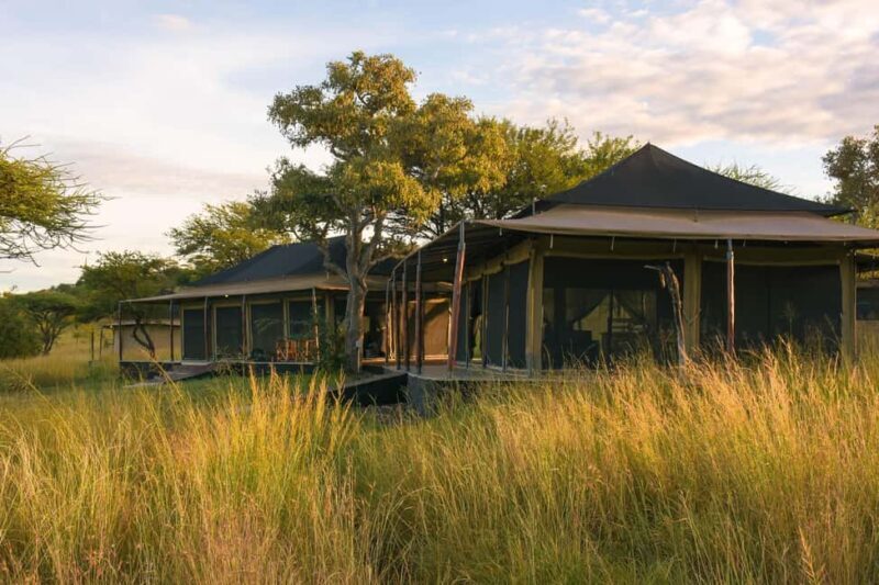 6 Days Tanzania Wildlife in the Heart of Africa's - Key Points  
