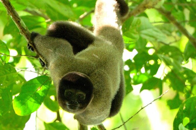 6-days-tour-in-manu-national-park-cusco-puerto-maldonado