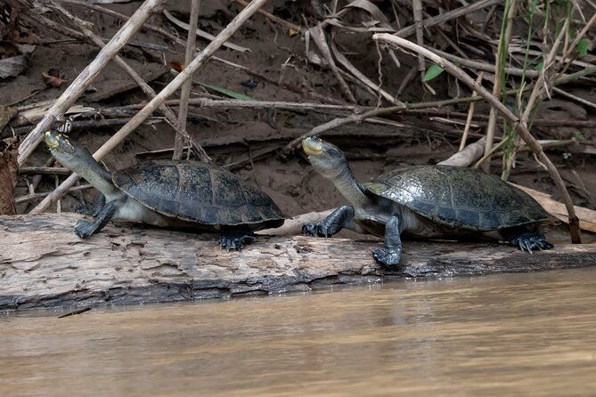 6-days-tour-in-manu-national-park-cusco-puerto-maldonado